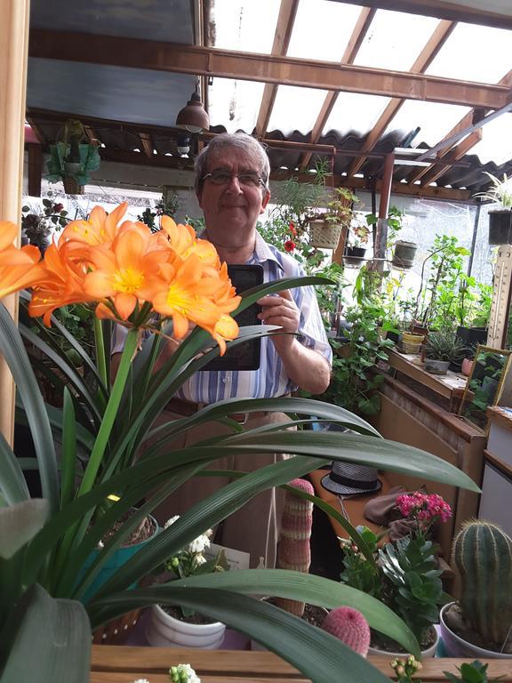 Diana Guesthouse Veliko Tarnovo Luaran gambar